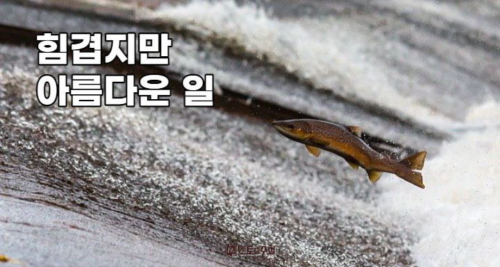 힘겹지만 아름다운 일